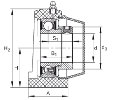 直立式軸承座單元 PSHE20-TV-FA125.5, 塑料軸承座，帶偏心鎖圈的外球面球軸承，帶 Corrotect? 涂層，P型密封