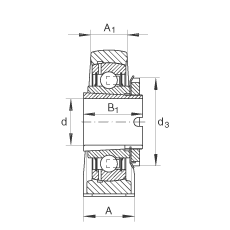 直立式軸承座單元 RASEA50-N, 鑄鐵軸承座，帶緊定套的外球面球軸承，R 型密封