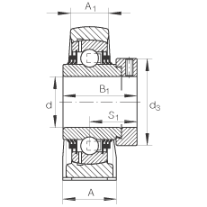 直立式軸承座單元 TSHE20-N, 鑄鐵軸承座，帶偏心鎖圈的外球面球軸承，T 型密封